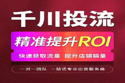 谷歌SEM广告投放的ROI优化：一家科技公司的成功经验